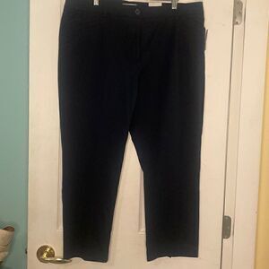 NWT Reitman’s Navy Blue Size 15 pants